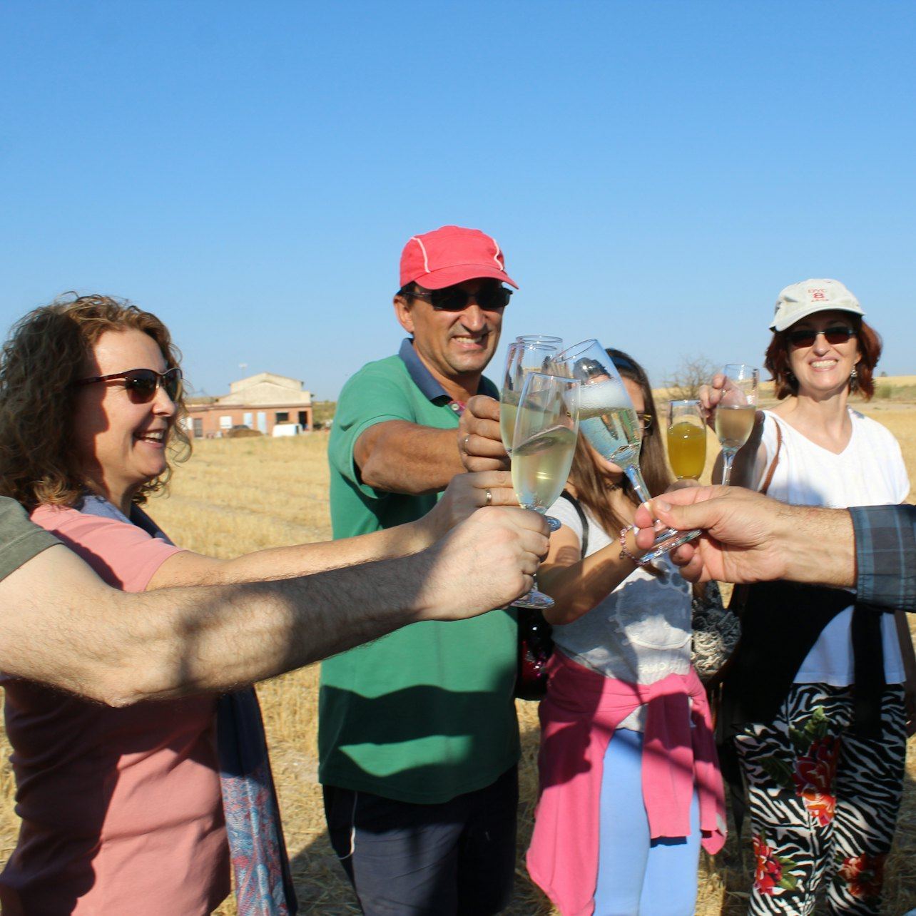 Segovia Hot Air Balloon Flight with Madrid Hotel Pickup