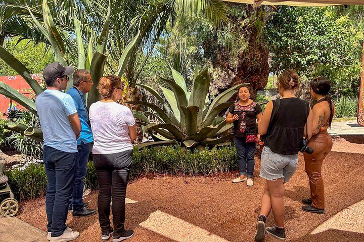 Balloon Flight with Teotihuacan & Guadalupe Shrine Full day Tour