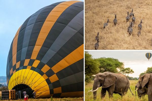 Tarangire Balloon Safari at Sunrise with Bush Breakfast