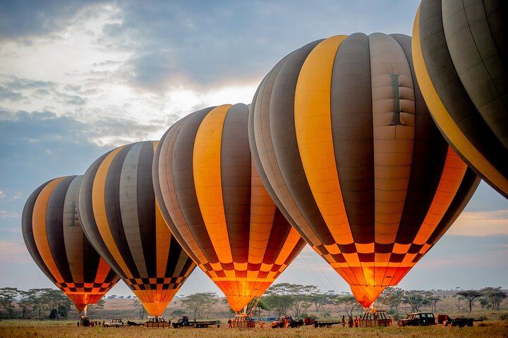 Balloon Safari & Bush Breakfast in Tarangire - Miracle Experience