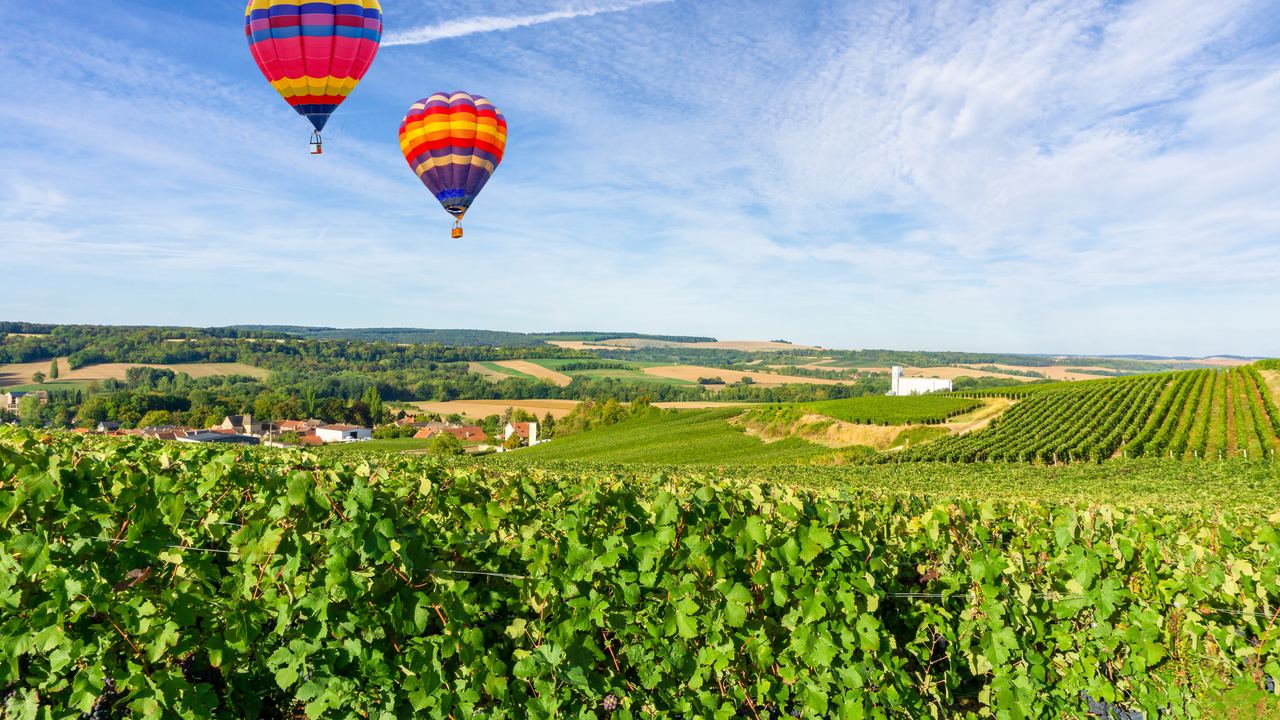 Balloons over vineyard rows. Temecula's four shared flights sit within eighteen euros of each other, and its three private baskets start five and a half times higher.