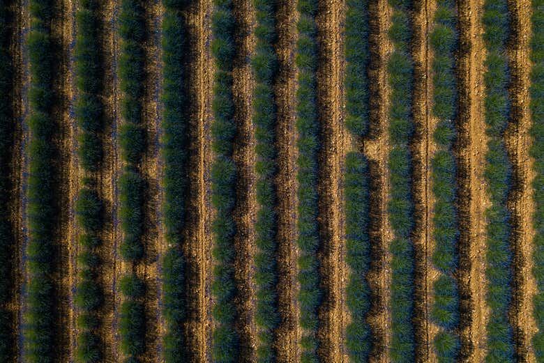 Brihuega Hot Air Balloon Ride