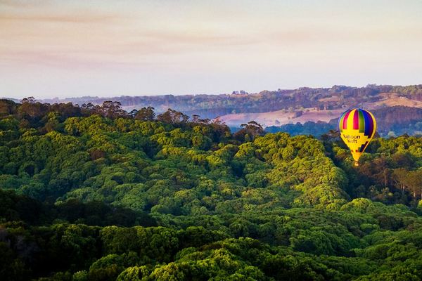 Vuelo en globo aerostático al amanecer en Byron Bay con desayuno incluido