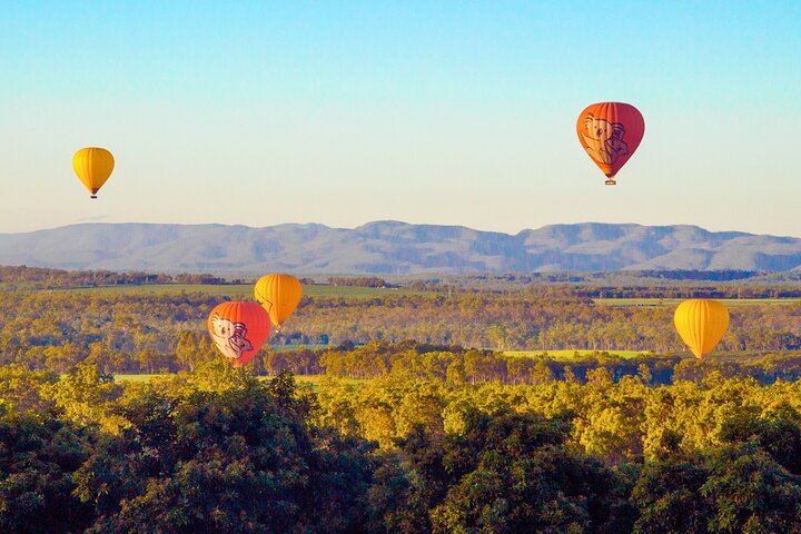 Cairns Classic Hot Air Balloon ride