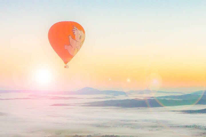 Cairns Classic Hot Air Balloon ride