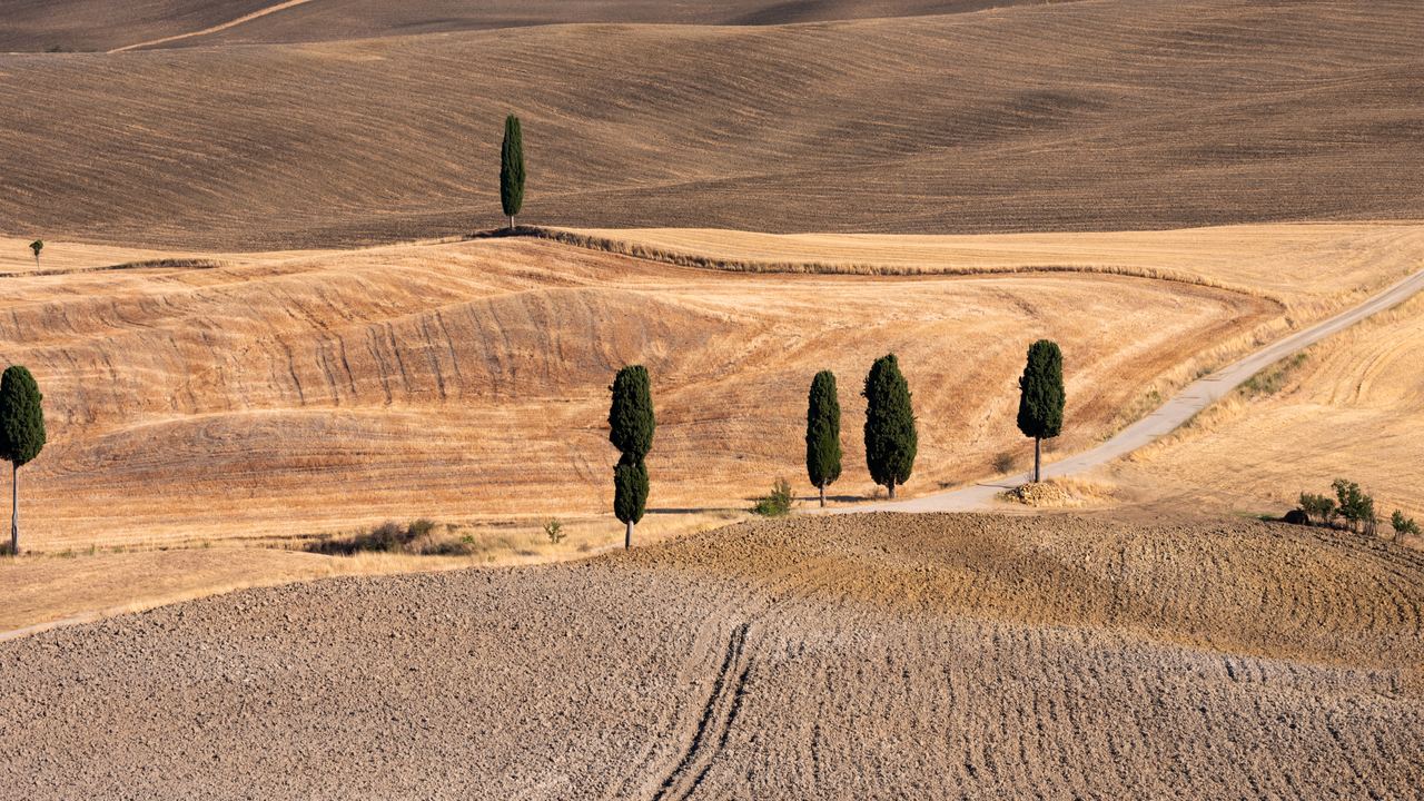 A cypress road in the Tuscan countryside. From 2,000 feet the listings say the individual farm becomes legible: the house, the track up to it, and the blocks of vine and olive that belong with it.
