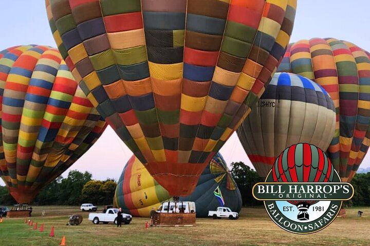 Early Morning Balloon Safari with Breakfast from Magaliesburg