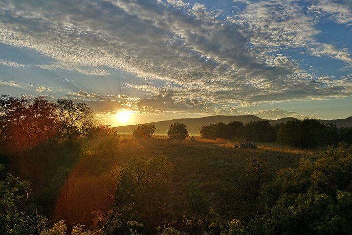 Early Morning Balloon Safari with Breakfast from Magaliesburg