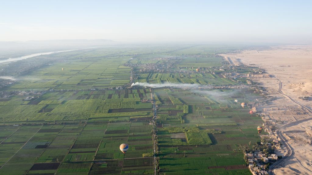 Irrigated green fields in the Nile valley near Luxor ending in a sharp line against bare desert