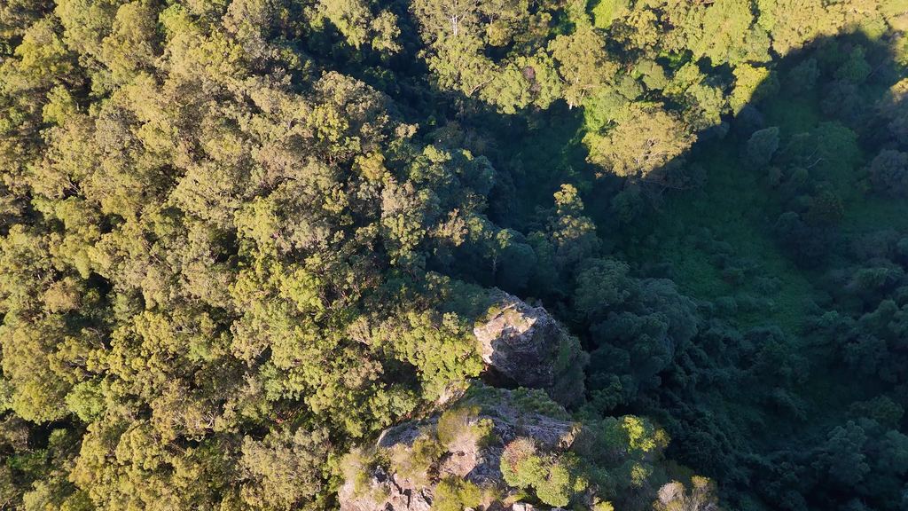 Dense eucalyptus forest and rocky outcrops in eastern Australia seen from above at low altitude
