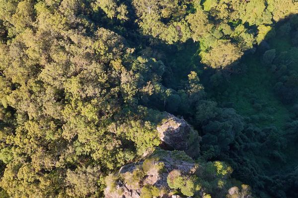 Cairns y las mesetas de Atherton