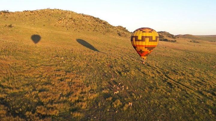 Exclusive Safari Flight