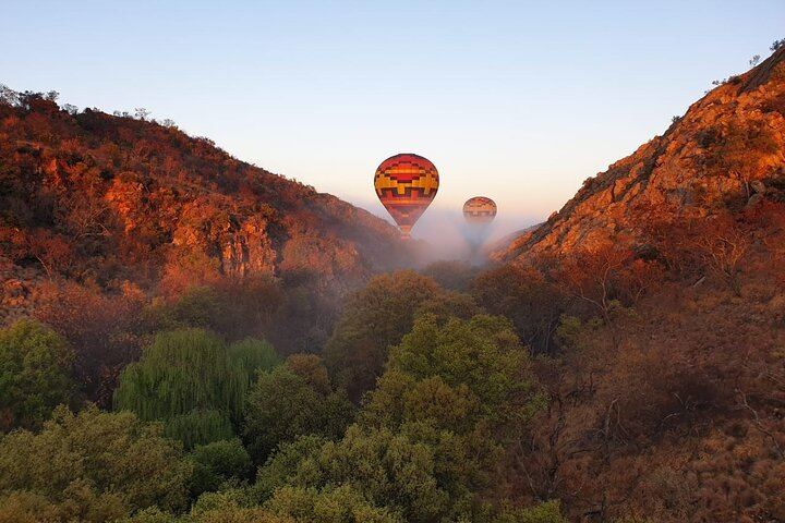 Exclusive Safari Flight