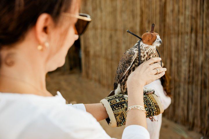 Falcon Photography