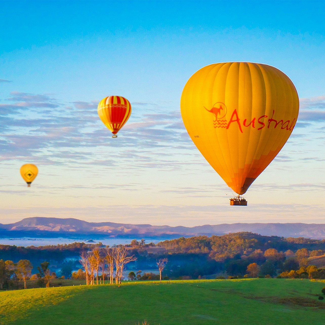 Gold Coast Hot Air Balloon Flight with Vineyard Breakfast
