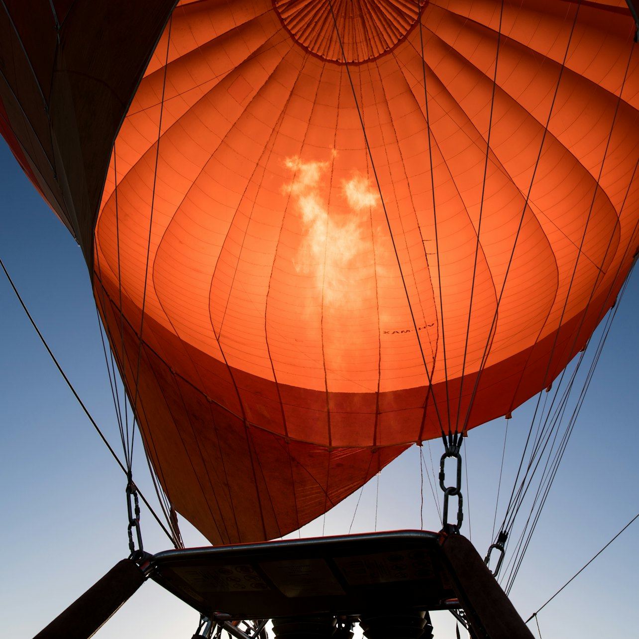 Gold Coast Hot Air Balloon Flight with Vineyard Breakfast