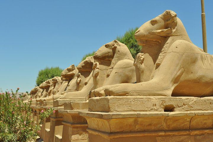 Hot Air Balloon and Full Day Luxor Tour with Lunch
