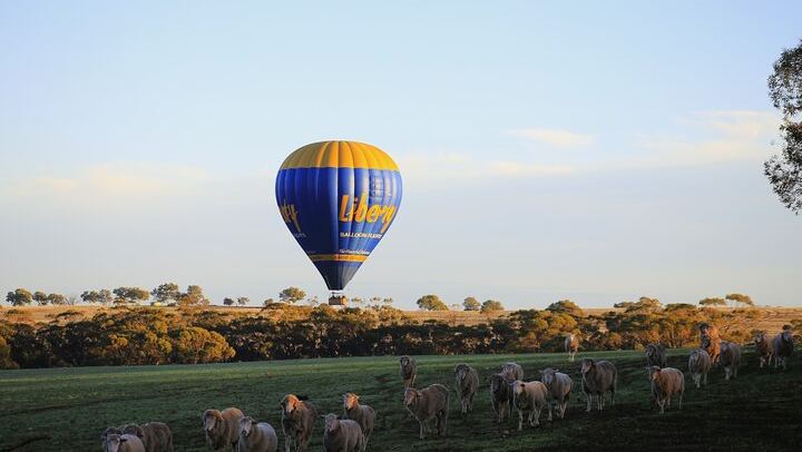 Hot Air Balloon Flights (Avon Valley) + Breakfast & Perth Pickup