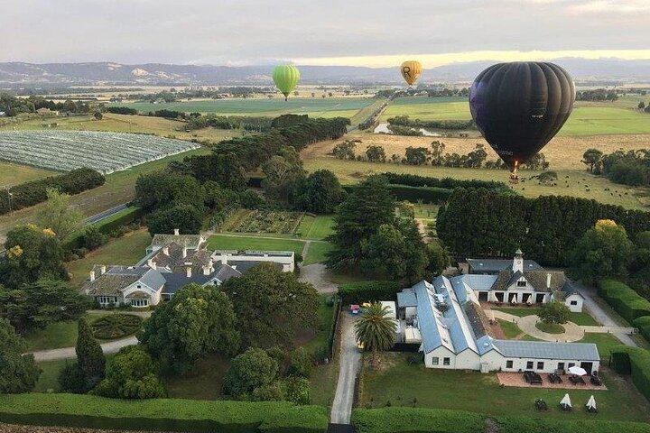 Hot Air Balloon Flight over the Yarra Valley