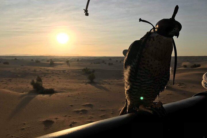 Hot Air Balloon Ride With Gourmet Breakfast & Falcon Show