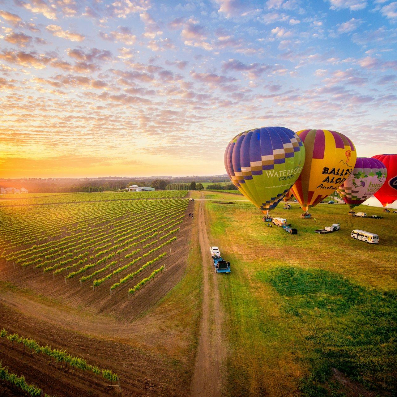 Vuelo en globo aerostático al amanecer en Hunter Valley con desayuno incluido
