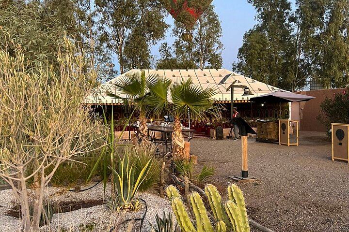 Marrakech Balloon Escape: Atlas Views & Berber Breakfast