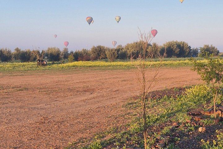 Marrakesh balloon in small group at sunrise