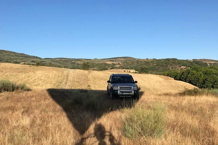 Our tracking car