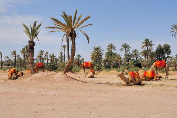 Marrakech
