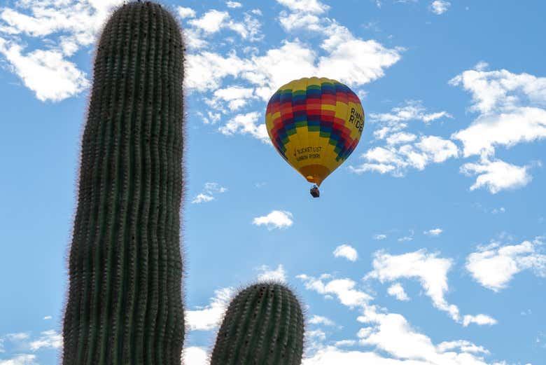 Phoenix Hot Air Balloon Ride
