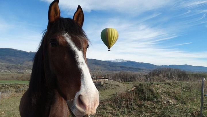 Pyrenees Hot Air Balloon: Private Flight from Barcelona