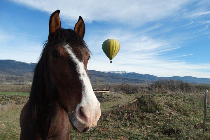 Pyrenees Hot Air Balloon: Private Flight from Barcelona