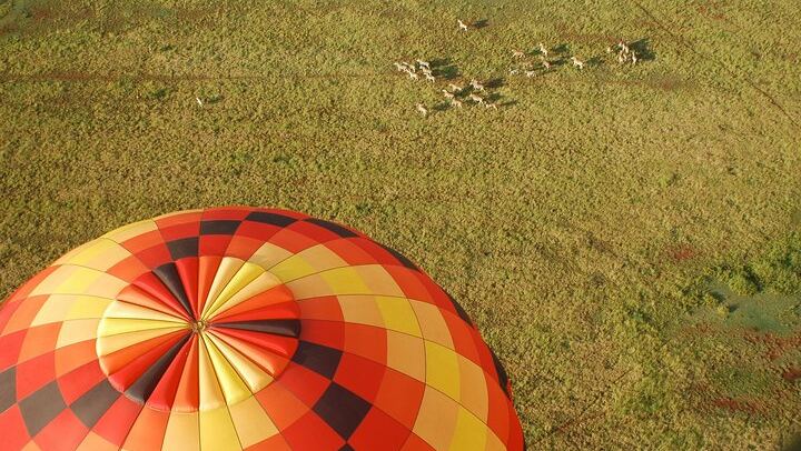 Safari Flight
