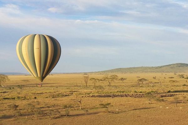 Serengeti Balloon Safari with Bush Breakfast under an Acacia