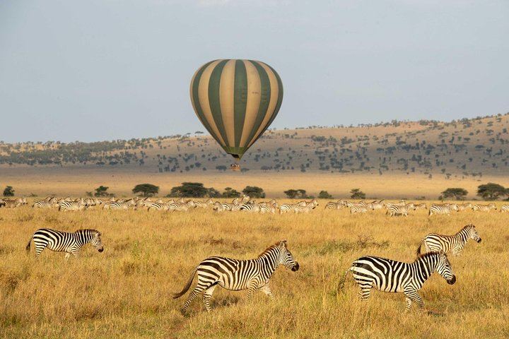 Serengeti Balloon Safari and authentic bush breakfast