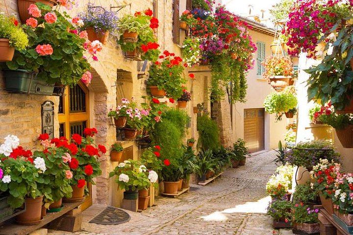 Umbria: Hot Air Balloon flight With Brunch + Spello guided tour