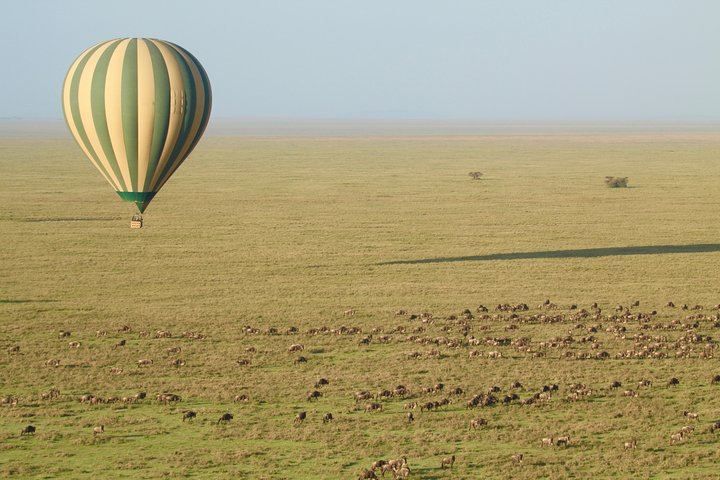 Viewing the Serengeti migration from above