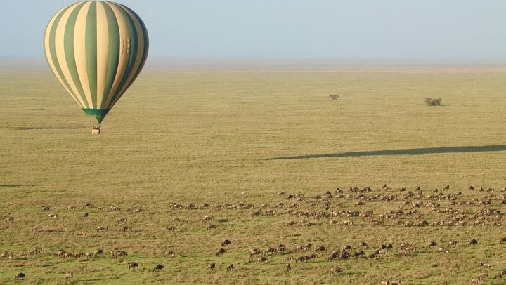 Viewing the Serengeti migration from above