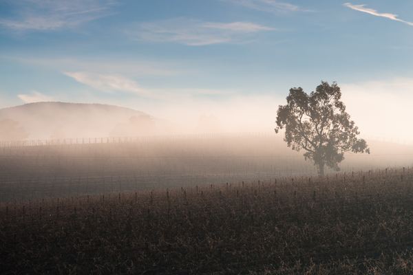 Hot air ballooning in Australia: six skies, and only two of them have a season