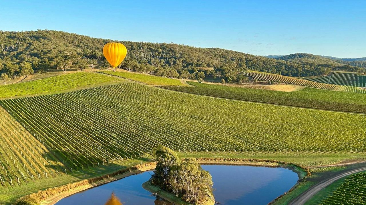 Yarra Valley Morning Hot Air Balloon Flight with Transfer