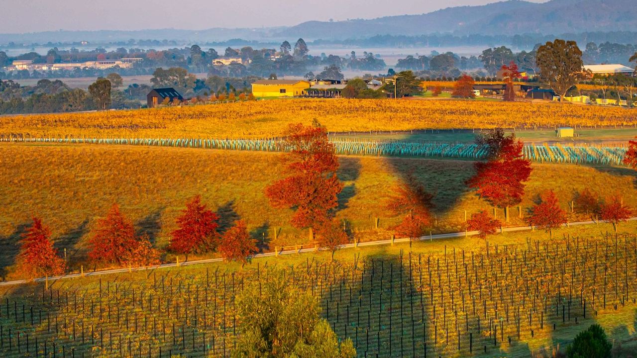 Yarra Valley Morning Hot Air Balloon Flight with Transfer