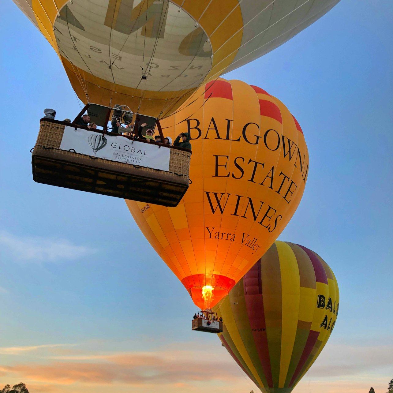 Yarra Valley Morning Hot Air Balloon Flight with Transfer