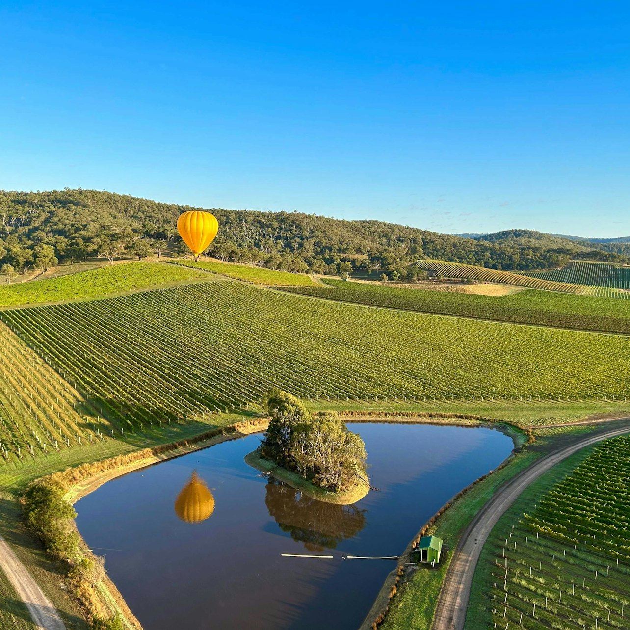Yarra Valley Morning Hot Air Balloon Flight with Transfer