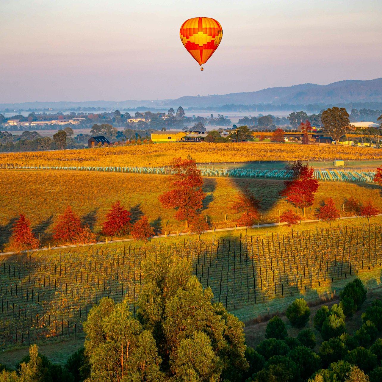 Yarra Valley Morning Hot Air Balloon Flight with Transfer